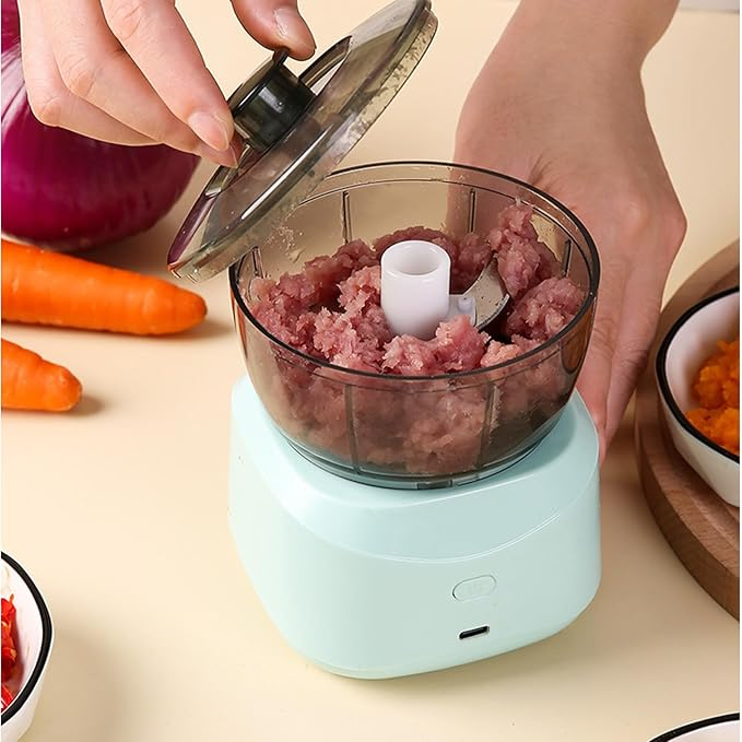Small Meat and Garlic Chopper