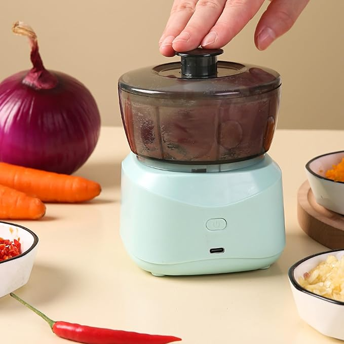 Small Meat and Garlic Chopper